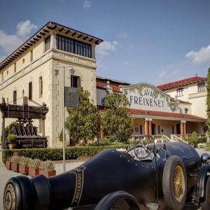 Ruta del Cava Freixenet + Sant Sadurní