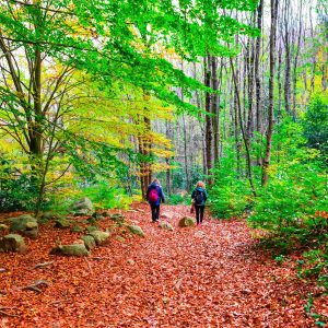 Parque Natural del Montseny